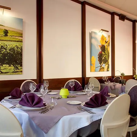 Hotel Logis Hotel-restaurant Le Chêne Saint-Pourçain-sur-Sioule
