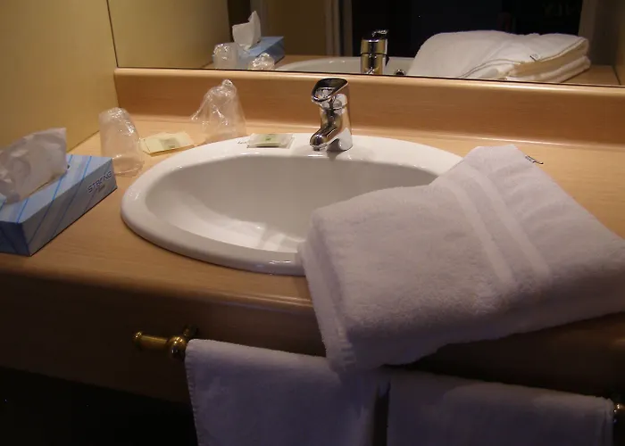 Logis Hotel-restaurant Le Chene Hotel Saint-Pourçain-sur-Sioule