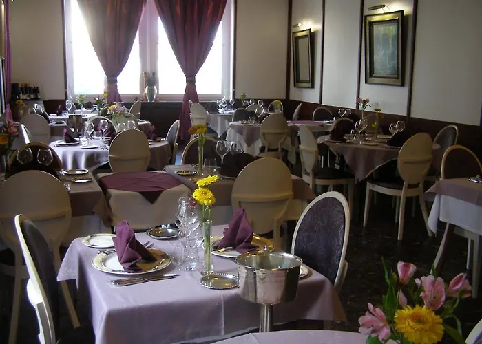 Logis Hotel-restaurant Le Chene 3* Saint-Pourçain-sur-Sioule