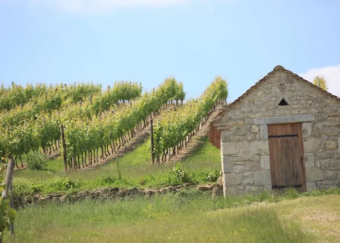Logis Hotel-restaurant Le Chene Hotel Saint-Pourçain-sur-Sioule