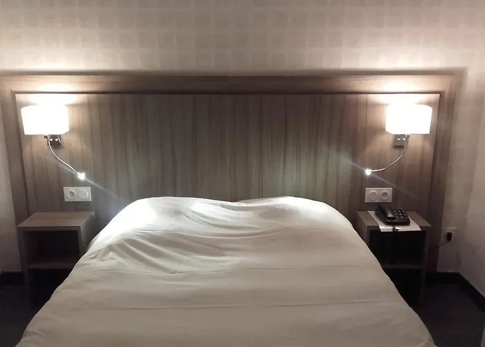 Hotel Logis Hotel-restaurant Le Chene 3*